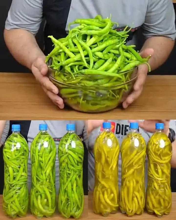 Peperoncini sottaceto facili