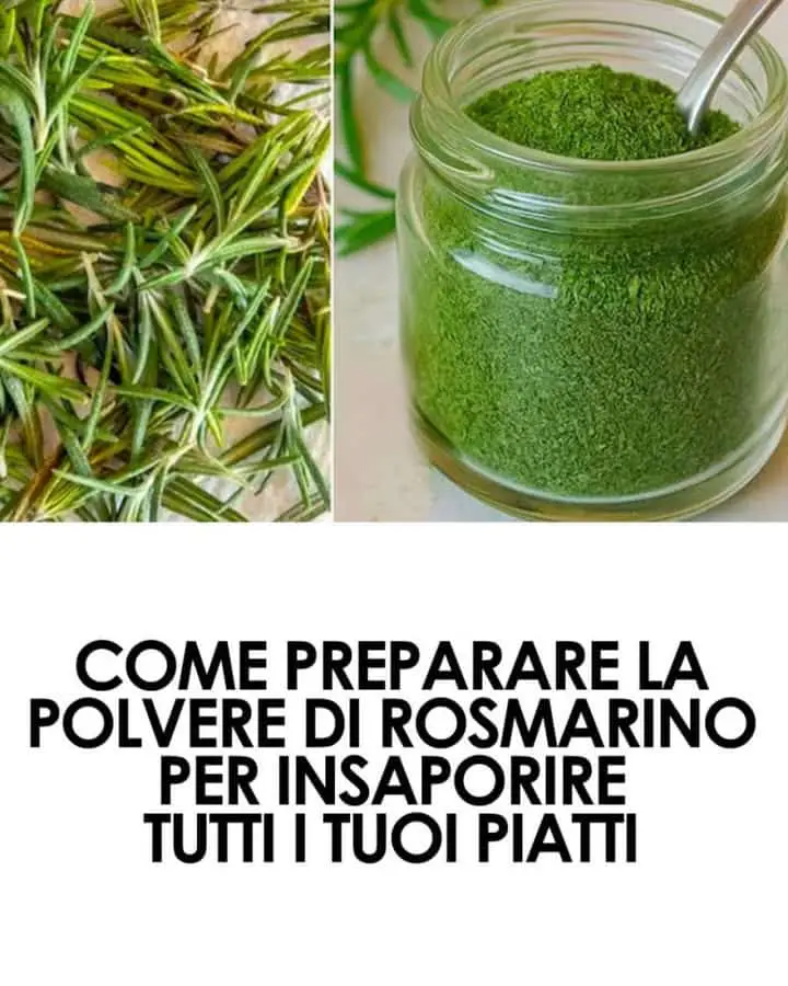 Polvere di rosmarino fatta in casa