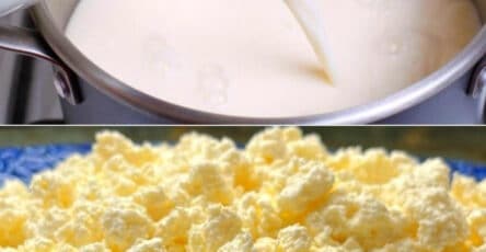 Ricotta fresca e veloce