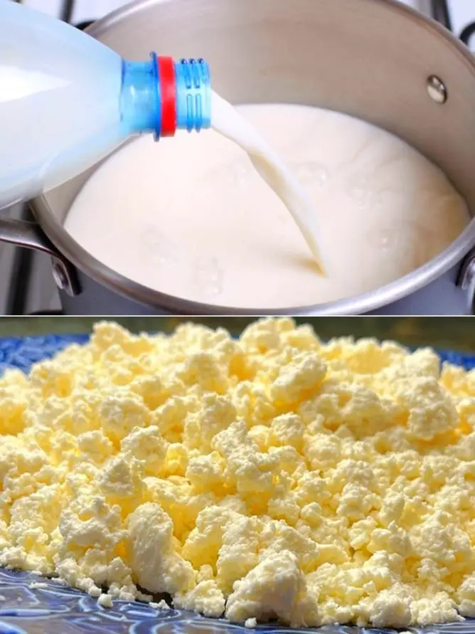 Ricotta fresca e veloce