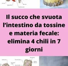 Succo per depurazione intestinale
