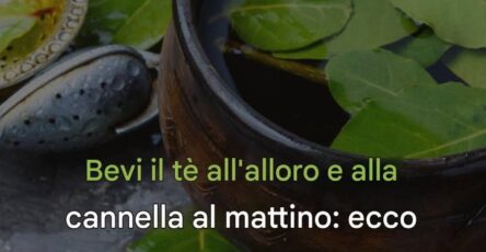 Tè all’alloro e cannella
