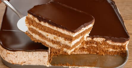 Torta fredda sana e leggera