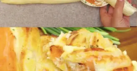 Treccia di salmone e stracchino
