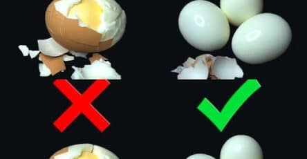 Uova fresche sode