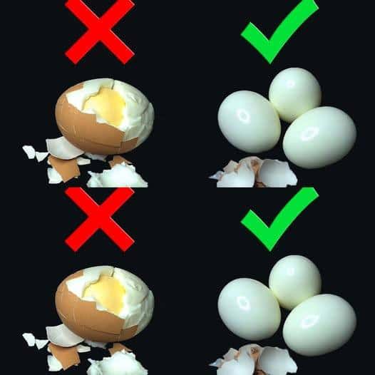 Uova fresche sode