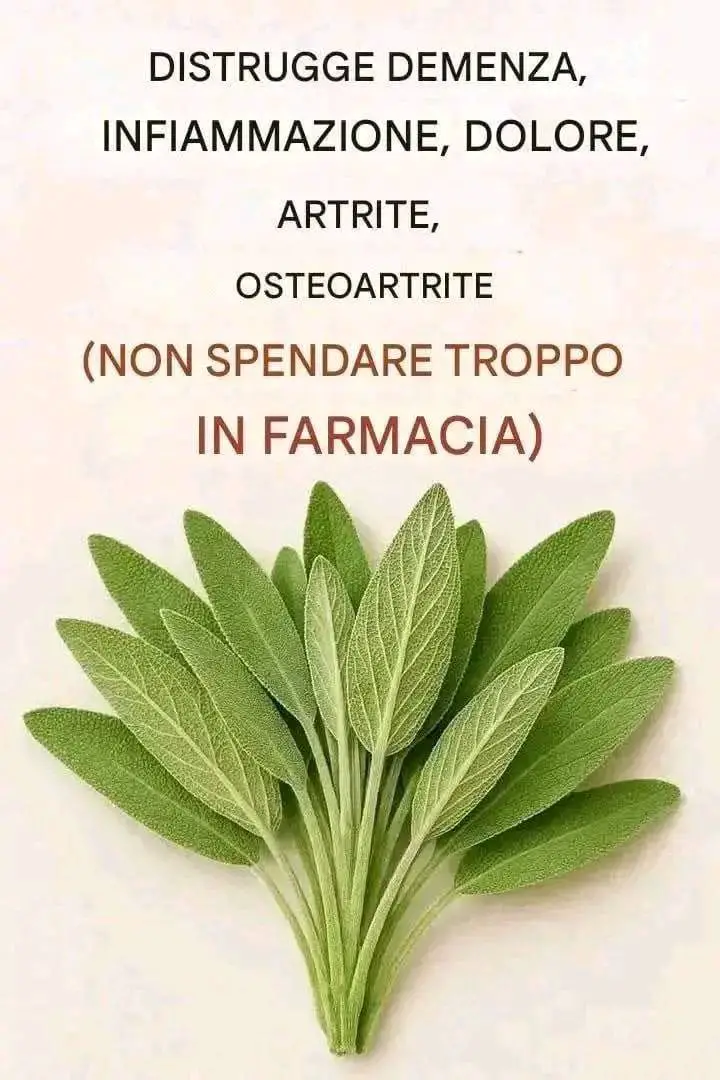 Usi della salvia in cucina