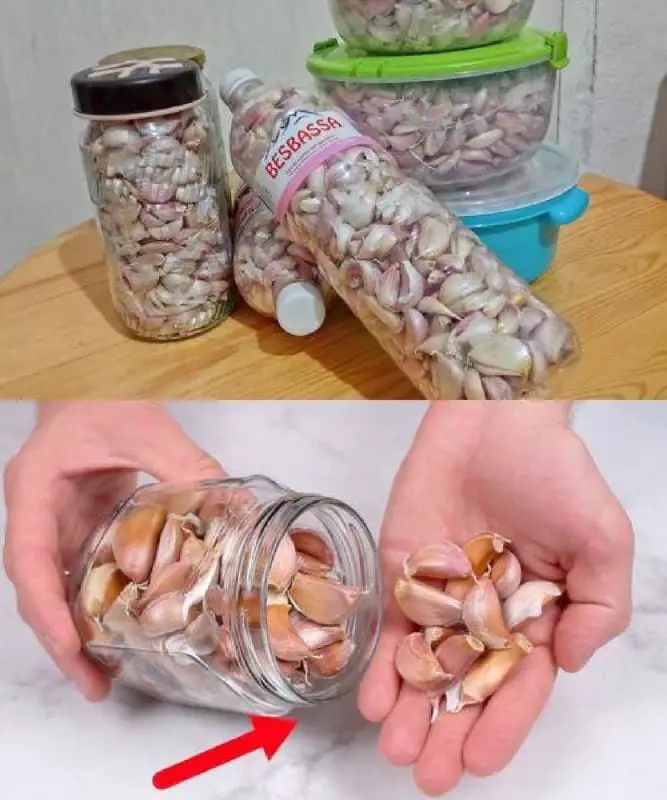 aglio fresco tutto l'anno
