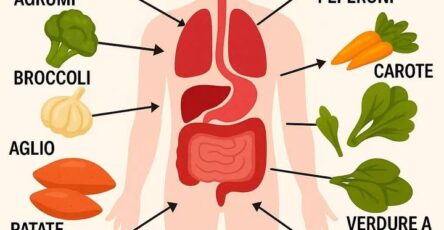 alimenti sistema immunitario