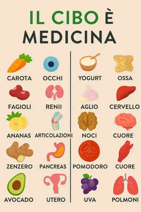 alimentos que curam órgãos