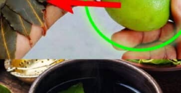 alloro e limone risparmiare