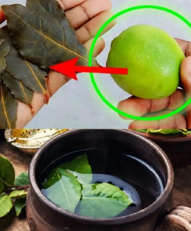 alloro e limone risparmiare