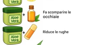 aloe vera benefici utilizzi
