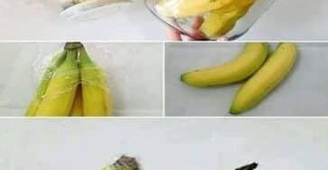 banana conservazione prolungata