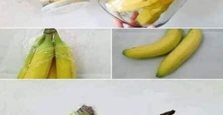 banana conservazione prolungata