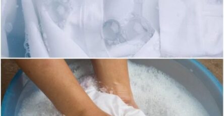 biancheria intima pulita
