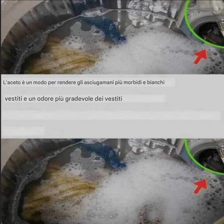 bianchi e profumati