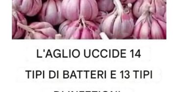 bucce d'aglio oro