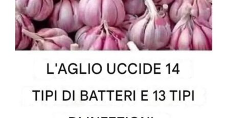 bucce d'aglio oro