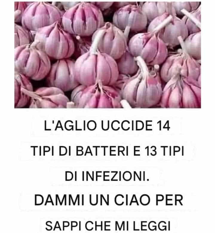 bucce d'aglio oro