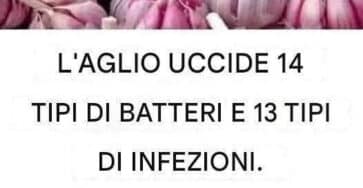 bucce d'aglio preziose