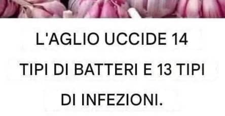 bucce d'aglio preziose