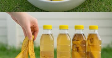 bucce di banana