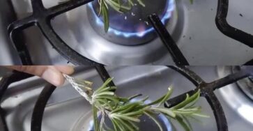 candela al rosmarino risultati