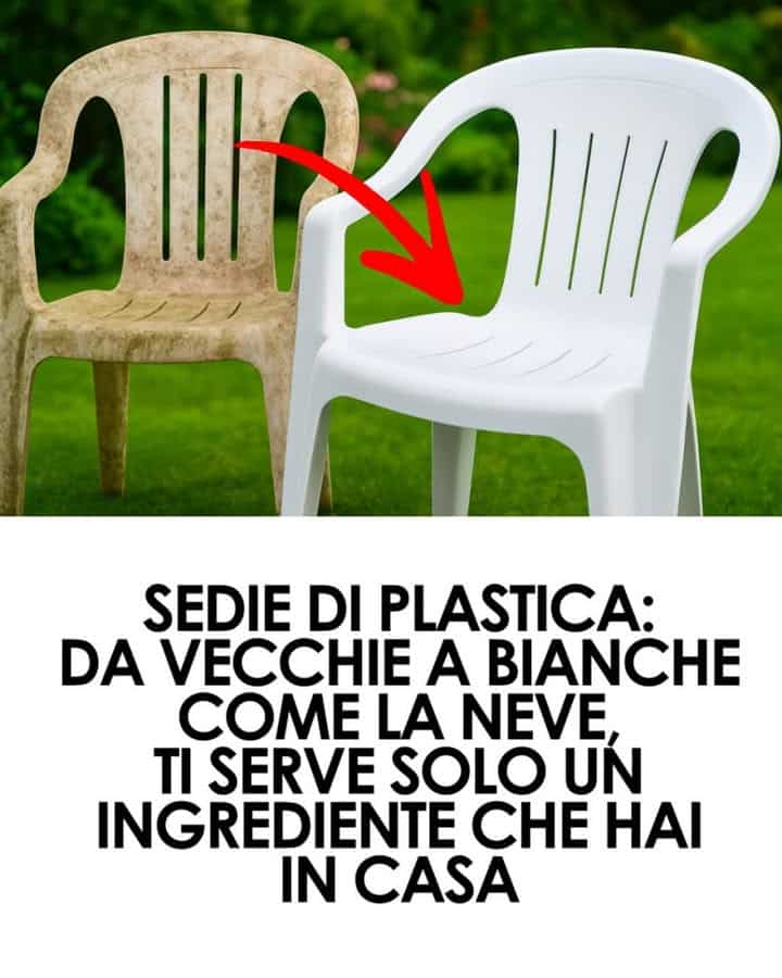 chaises blanches en plastique