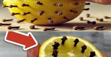 chiodi di garofano limone