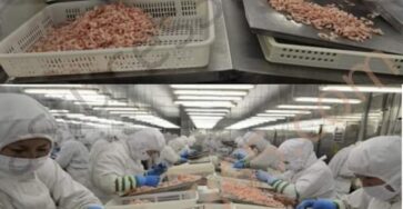 cibi prodotti in Cina