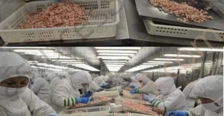 cibi prodotti in Cina
