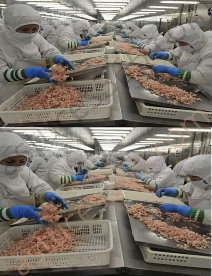 cibi prodotti in Cina