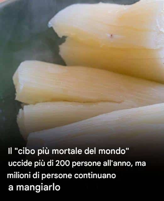 cibo letale nel mondo