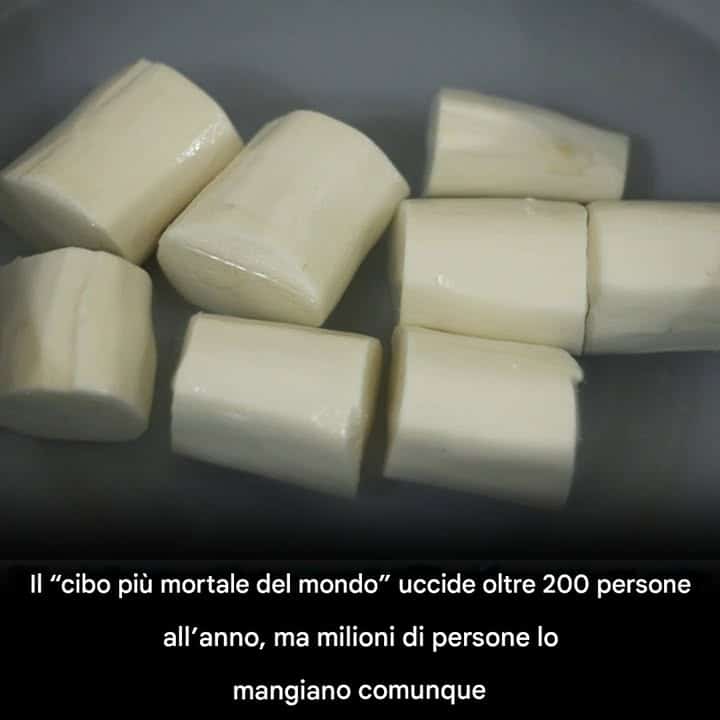 cibo mortale del mondo