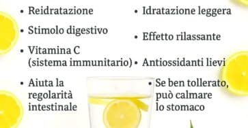 citrus drink recipe