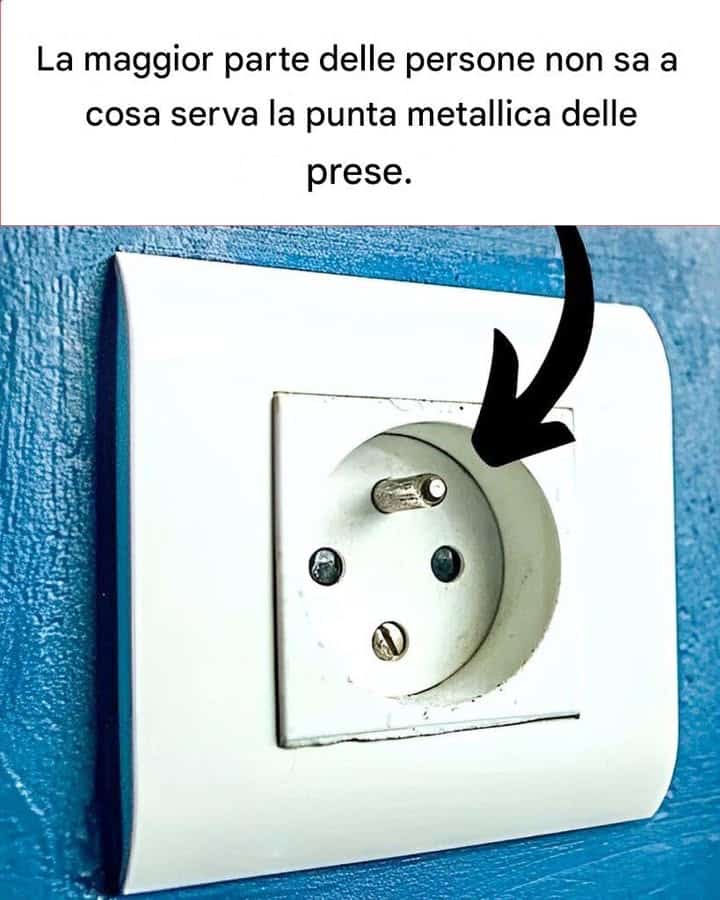 clip metallica sulla spina