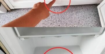 congelatore elemento segreto