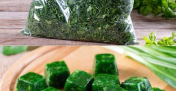 conservare le erbe fresche
