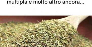 cura fibromialgia infusione