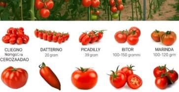 dettagli nel primo commento
