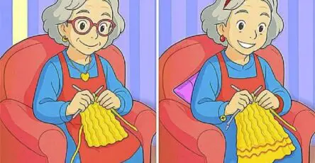 differenze in un'immagine