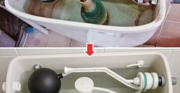 disinfettare cassetta del WC
