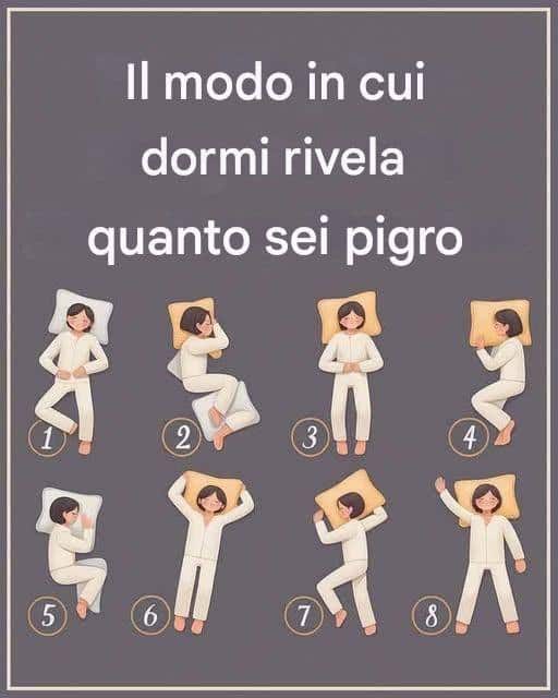 dormire pigro sonno