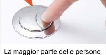 due pulsanti del WC