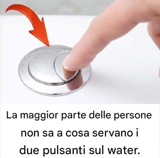 due pulsanti del WC