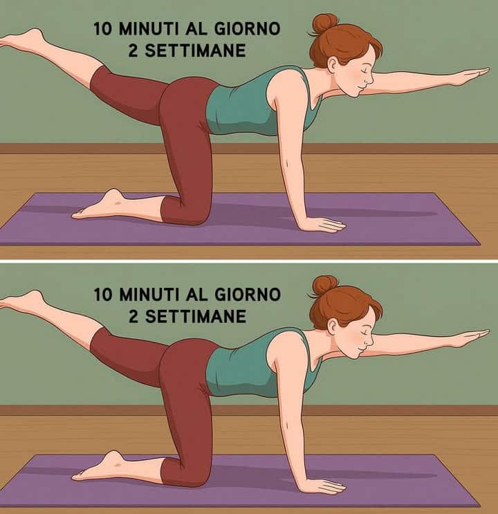 eliminare grasso schiena addome