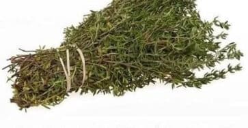 erba forte parassiti infezioni