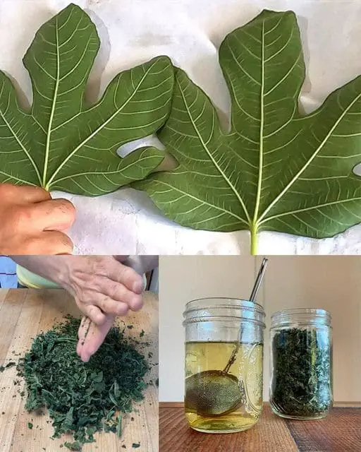 fichi curare diabete naturalmente