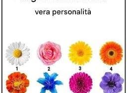 fiori caratteriali rivelano
